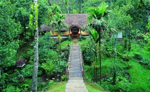 Spice Farm
